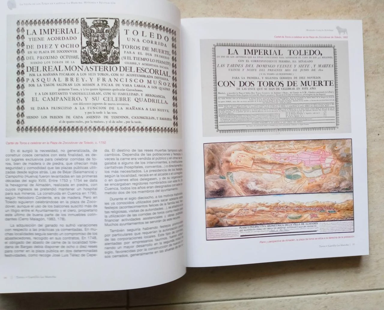 Livro Touros em Castilla-La Mancha – photo 3